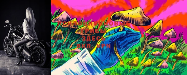 марки lsd Лихославль