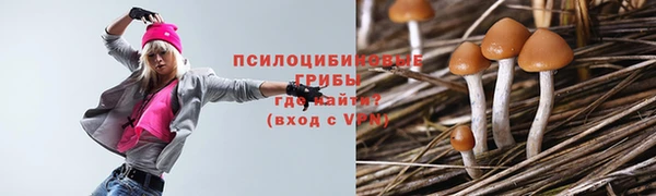 марки lsd Лихославль