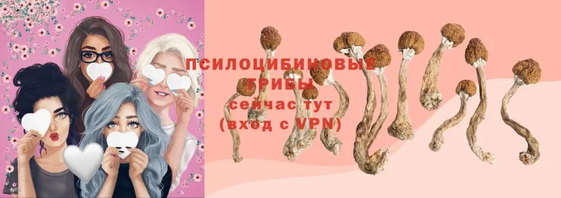 Галлюциногенные грибы Cubensis  Долинск 