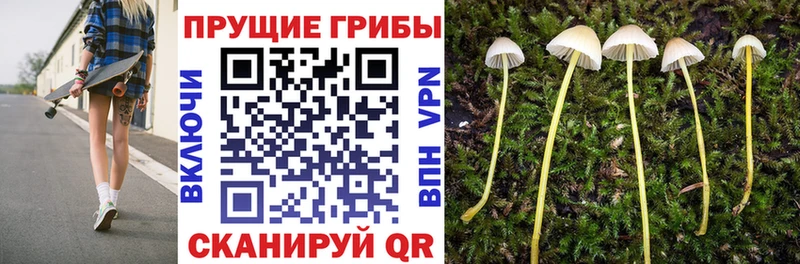 Галлюциногенные грибы мицелий  купить  сайты  mega ТОР  Долинск 